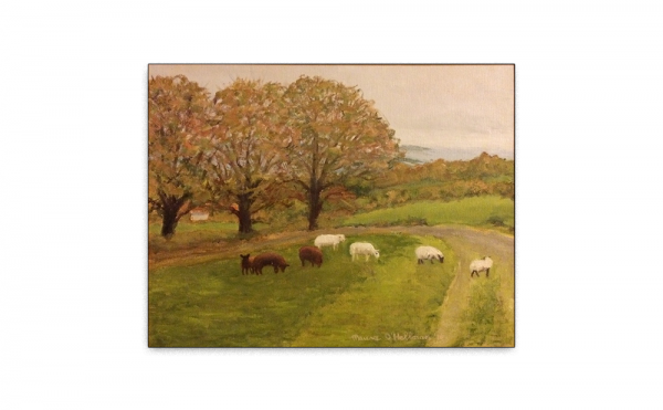 Sheep grazing at Spynans Hill beside a group of trees