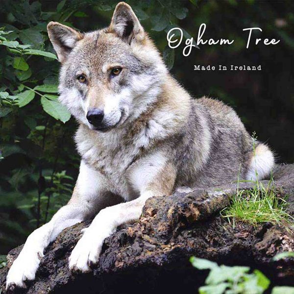 Ogham Tree_Irish Ogham Prints_Irish Language Prints_Irish Made_Sustainably Made In Ireland