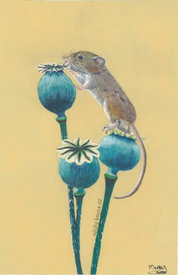 'Mice on Poppy Seedheads' print