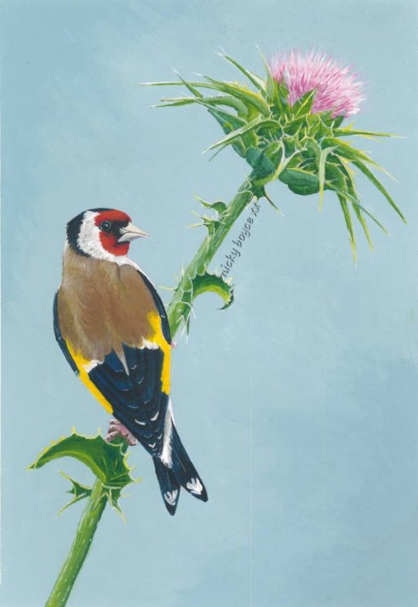 'Gold Finch on a Thistle' print