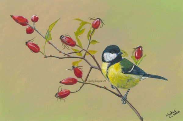 'Great Tit on Rosehips' print