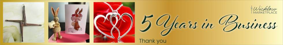 ExLargeBanner banner with 5 Years in Business and Wicklow marketplace logo
